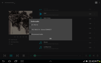 DS Audio permet de gérer simultanément plusieur renderer dont le Sonos.