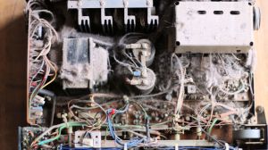 Mais que fait Nestor ?