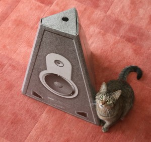 On distingue bien la forme triangulaire à coté de Schrodï le chat.