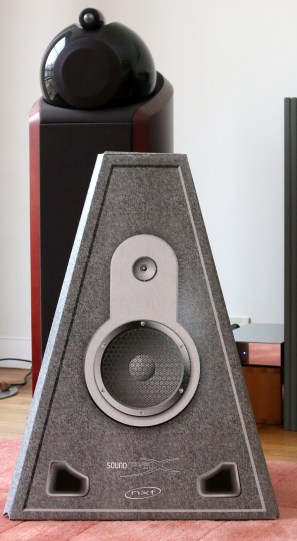 Afin de ne pas désorienter l’audiophile et de permettre d’identifier la surface d’émettrice principale, le constructeur a prévu une discrète décoration.